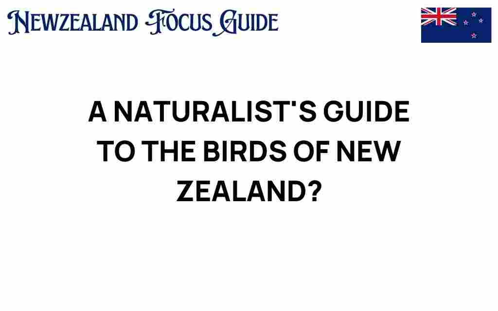 discovering-new-zealand-birds