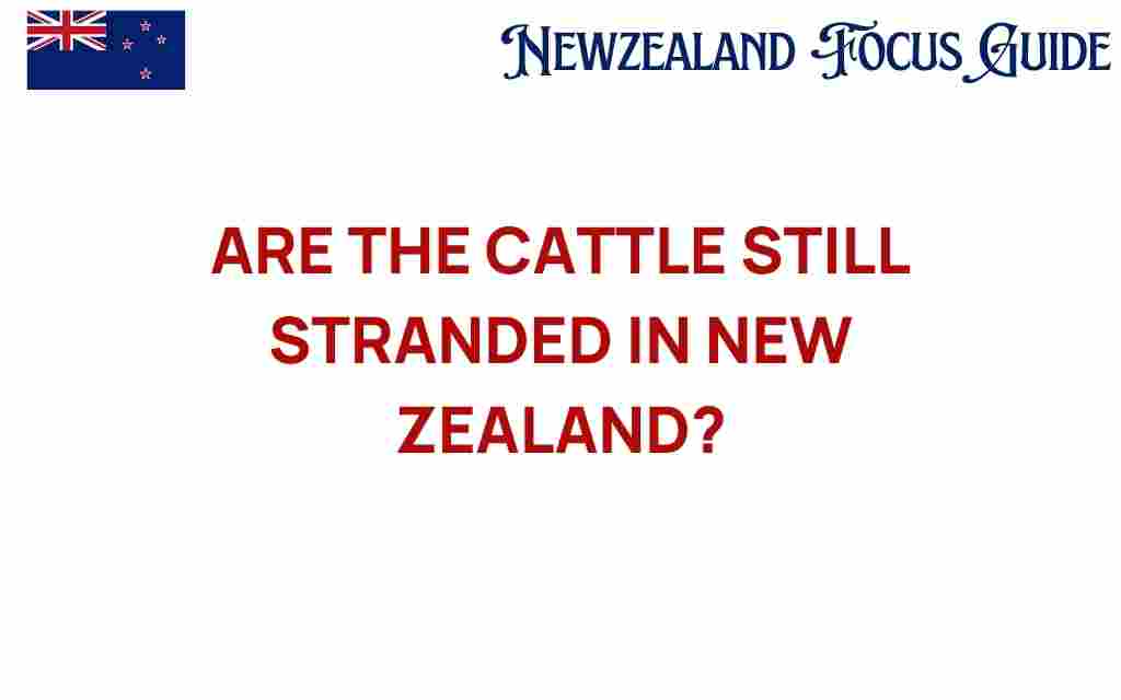 are-the-cattle-still-stranded-in-new-zealand