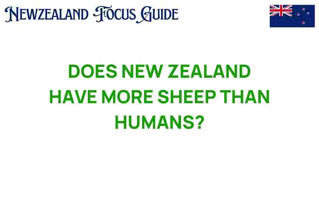 new-zealand-sheep-vs-humans