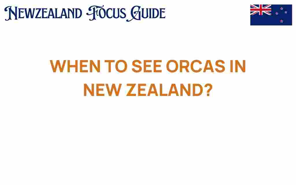 when-to-see-orcas-new-zealand