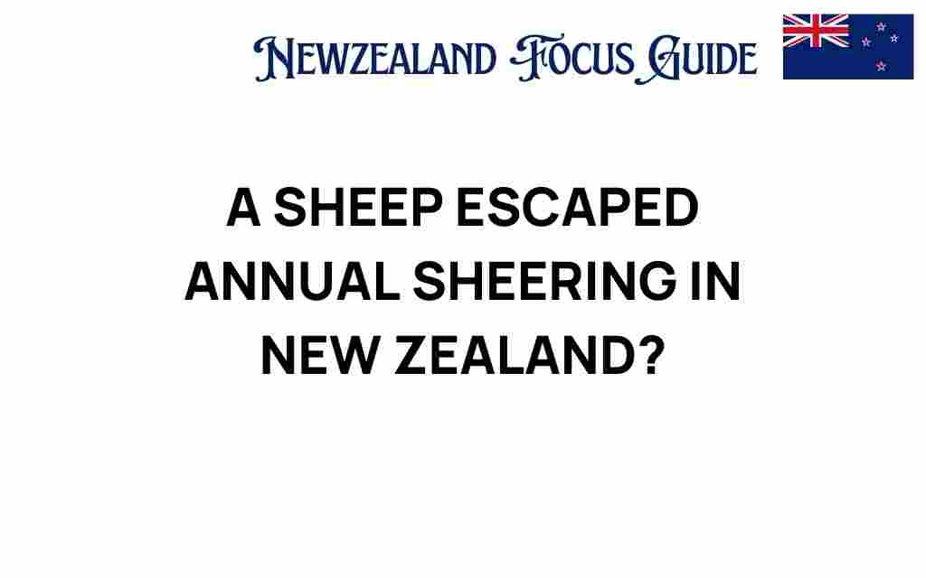sheep-escape-new-zealand-shearing