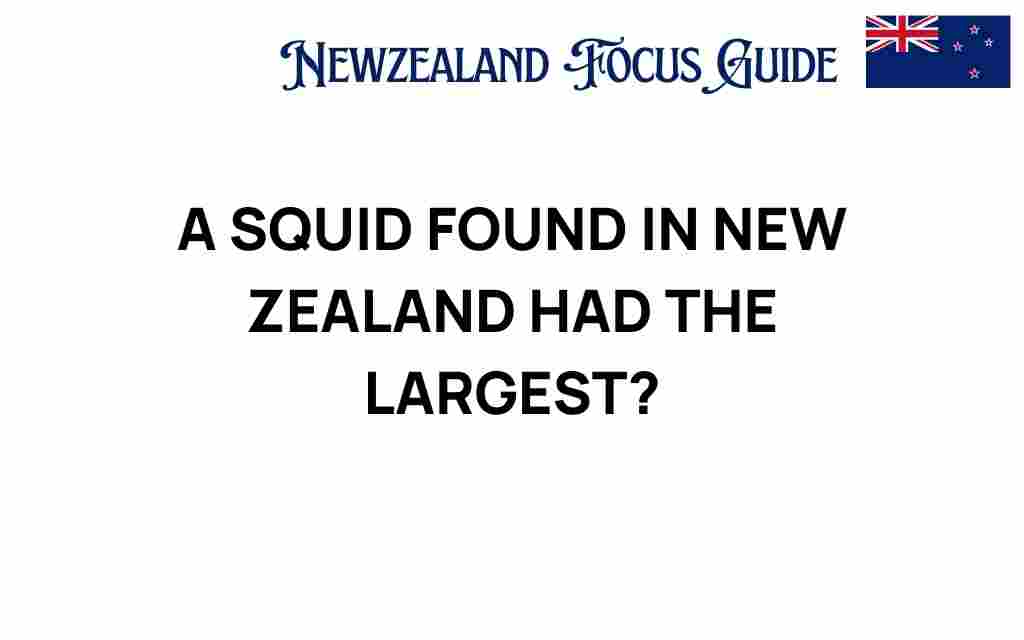 new-zealand-largest-squid-discovered