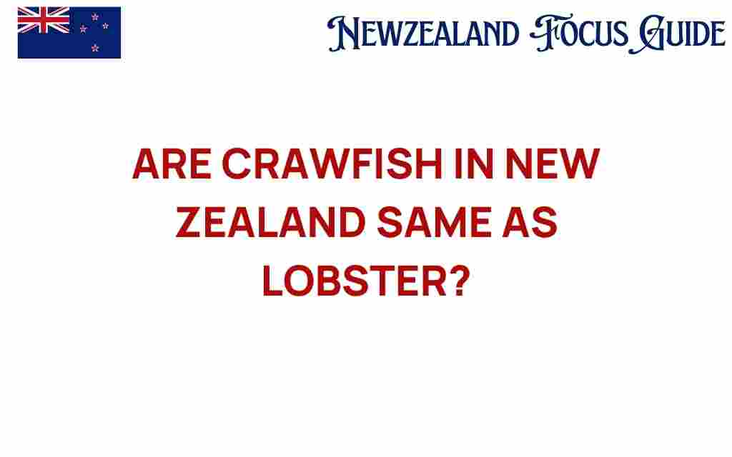 are-crawfish-in-new-zealand-same-as-lobster