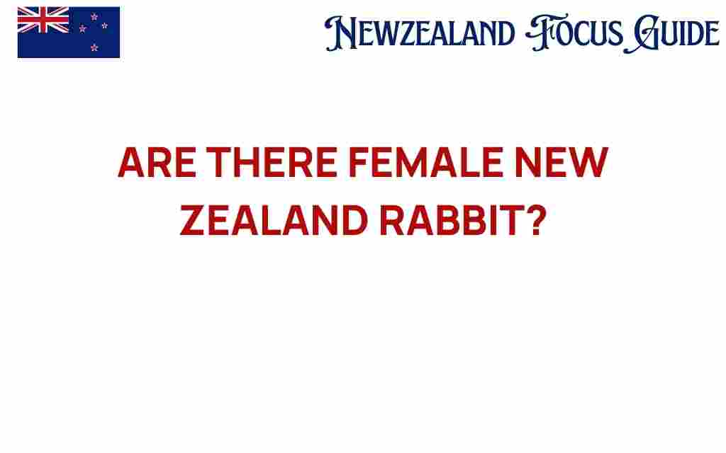 exploring-female-new-zealand-rabbits