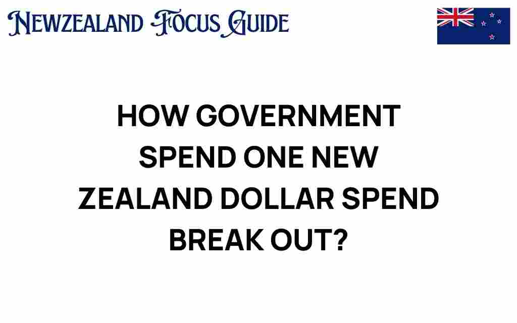 government-spends-one-new-zealand-dollar