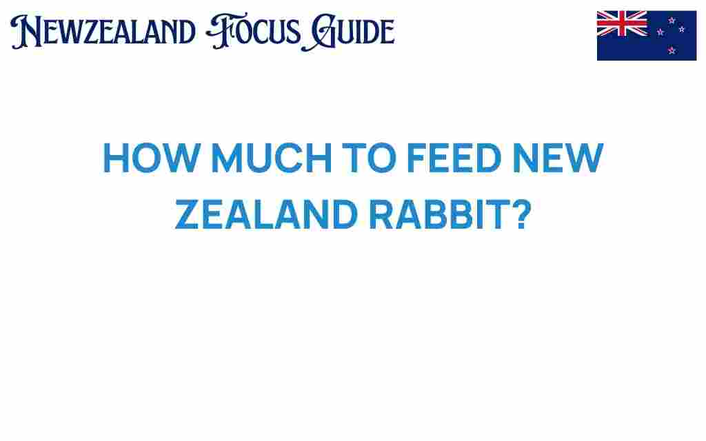 how-much-to-feed-new-zealand-rabbits