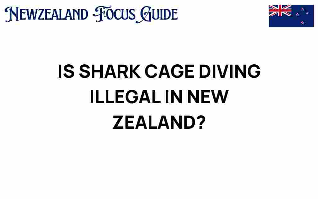is-shark-cage-diving-illegal-in-new-zealand