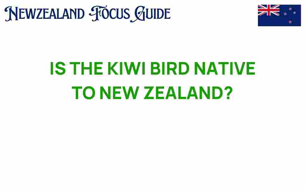 kiwi-bird-native-to-new-zealand