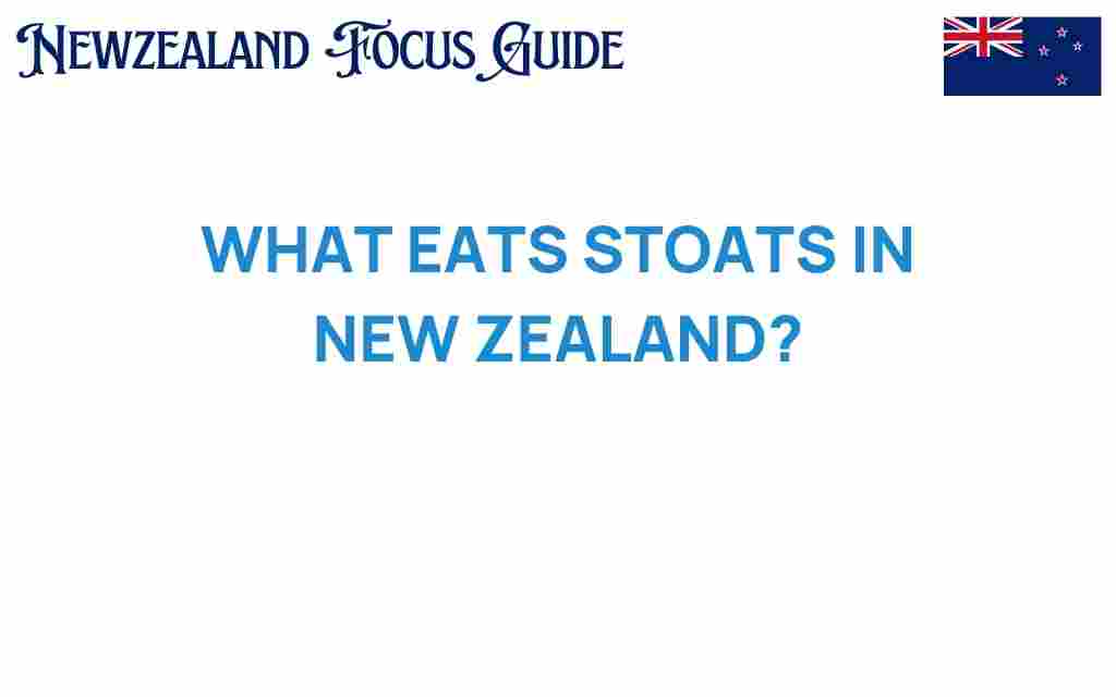 what-eats-stoats-new-zealand