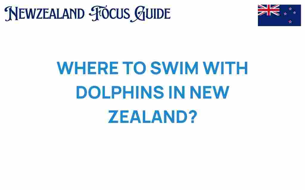 swim-with-dolphins-new-zealand