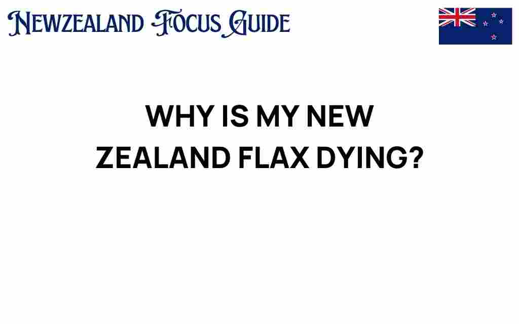 why-is-my-new-zealand-flax-dying